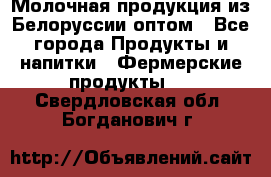 Молочная продукция из Белоруссии оптом - Все города Продукты и напитки » Фермерские продукты   . Свердловская обл.,Богданович г.
